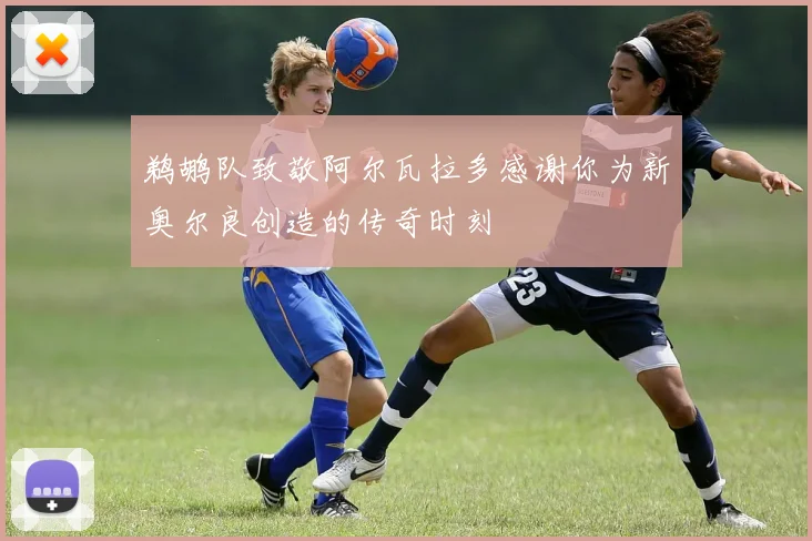鹈鹕队致敬阿尔瓦拉多感谢你为新奥尔良创造的传奇时刻