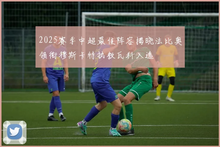 2025赛季中超最佳阵容揭晓法比奥领衔穆斯卡特执教瓦科入选