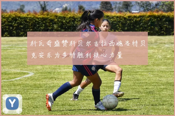 科瓦奇盛赞科贝尔吉拉西施洛特贝克安东为多特胜利核心力量