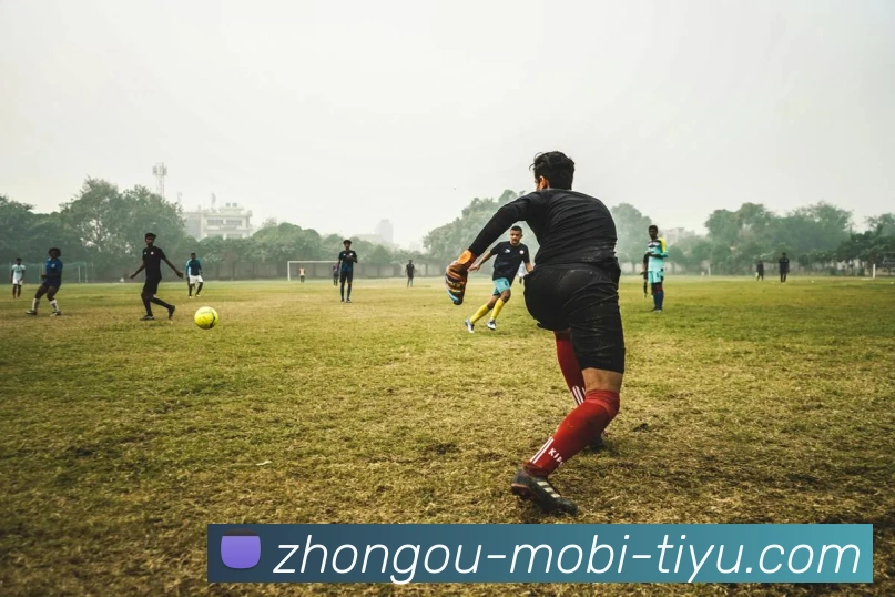 App Interface Preview